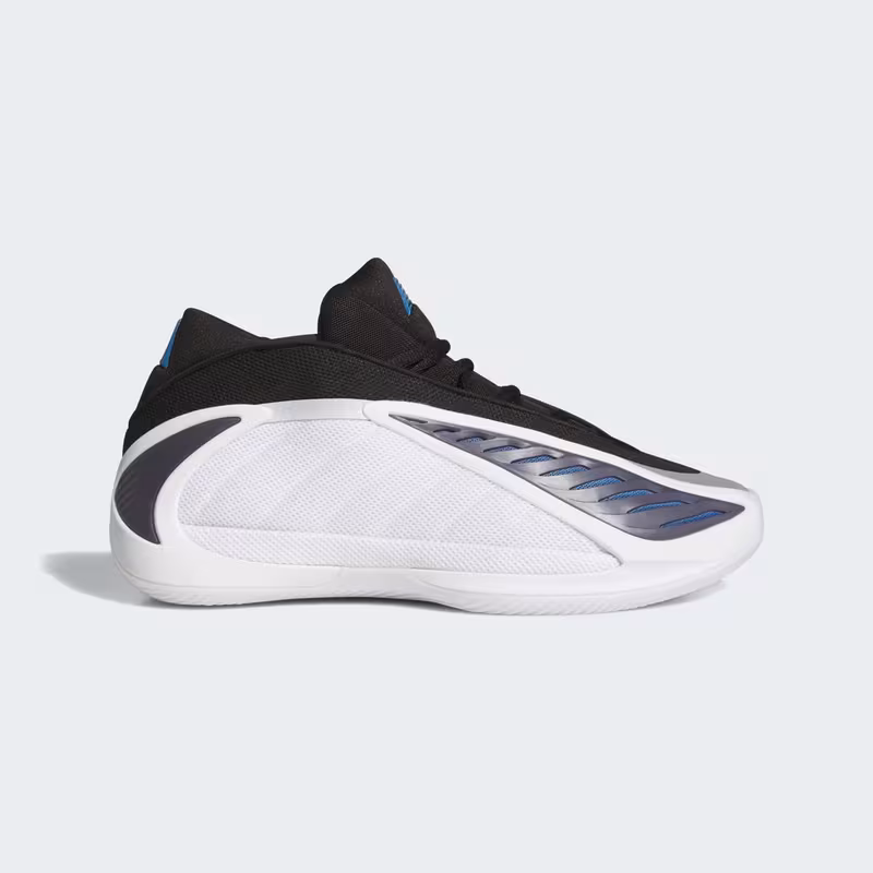 Sneaker High Top