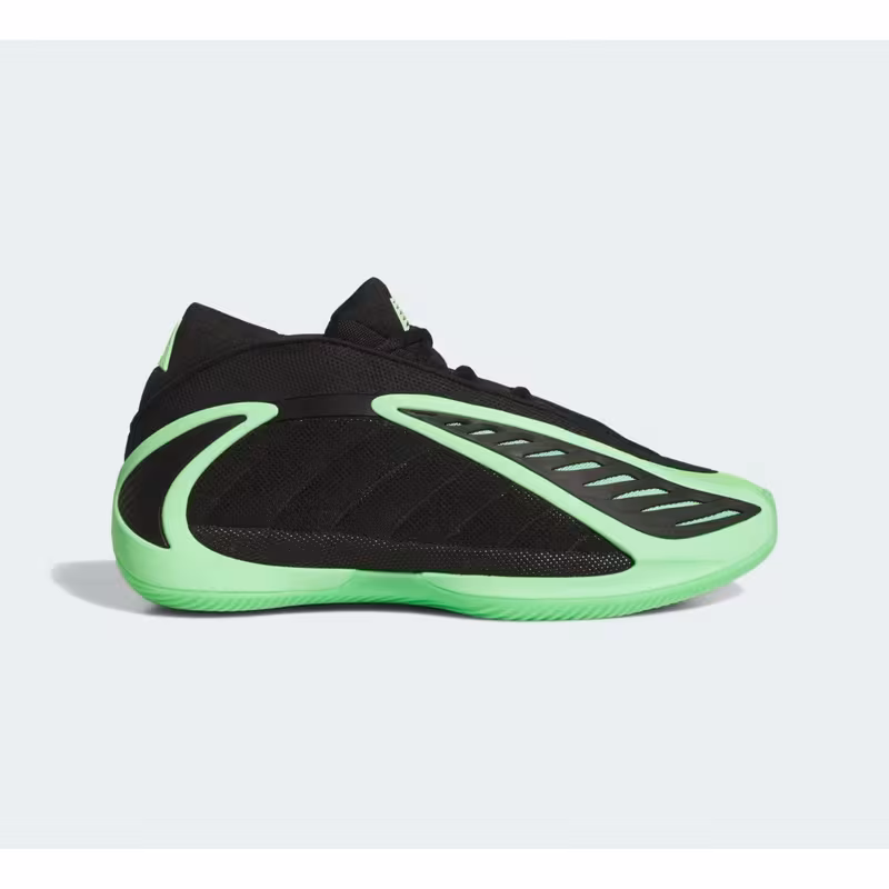 Sneaker High Top